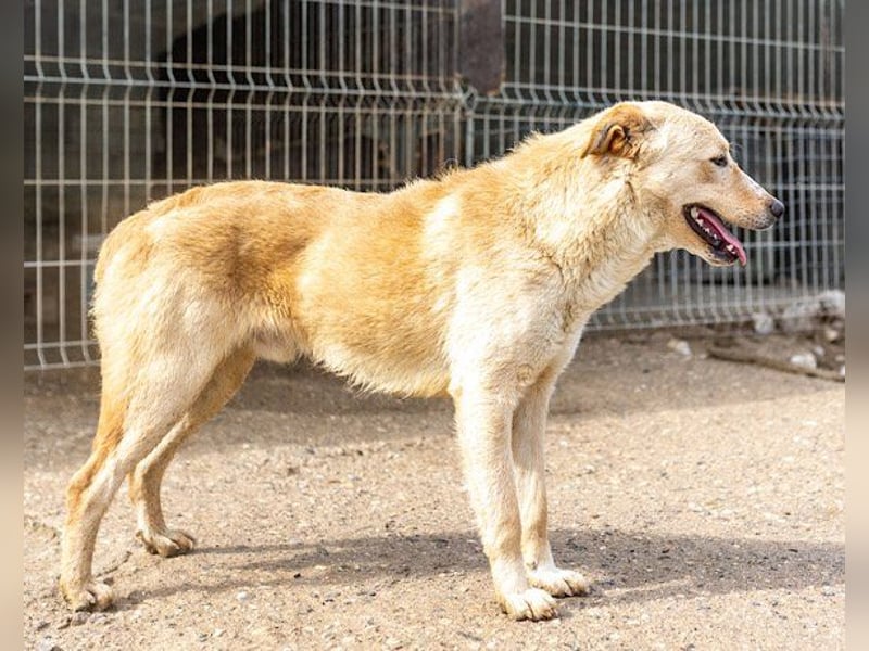 Bob wartet sehnsüchtig auf deine Anfrage