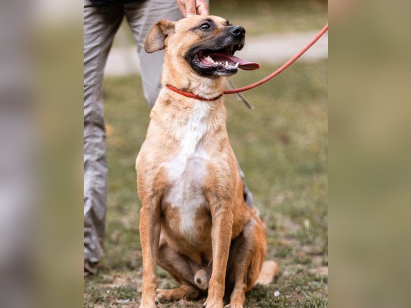 Teddy  wartet schon so lange!