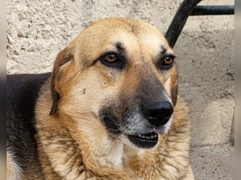 Bezaubernde Sersi wartet auf Dich!