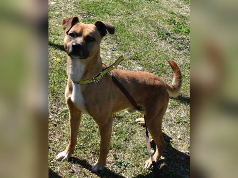 Teddy  wartet schon so lange!