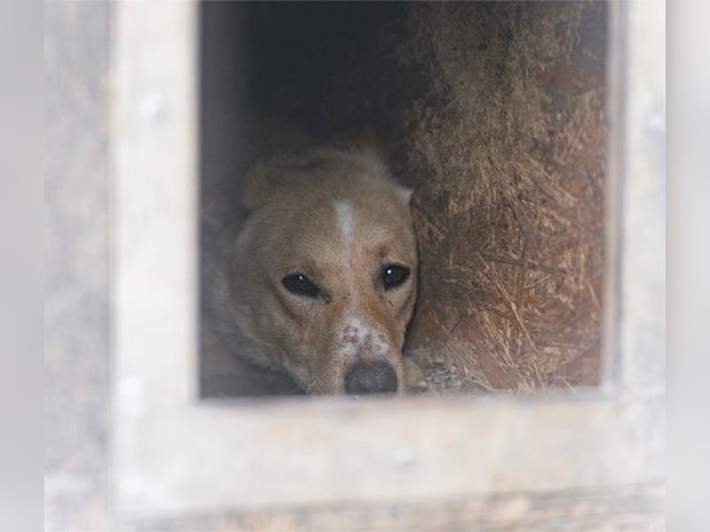 Bob wartet sehnsüchtig auf deine Anfrage