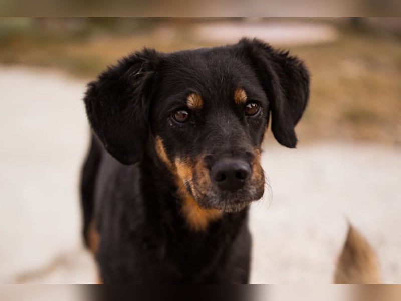 MALENA❤️sanfte, gehorsame Seele auf der Suche nach Geborgenheit MALENA❤️sanfte, gehorsame Seele auf der Suche nach Geborgenheit