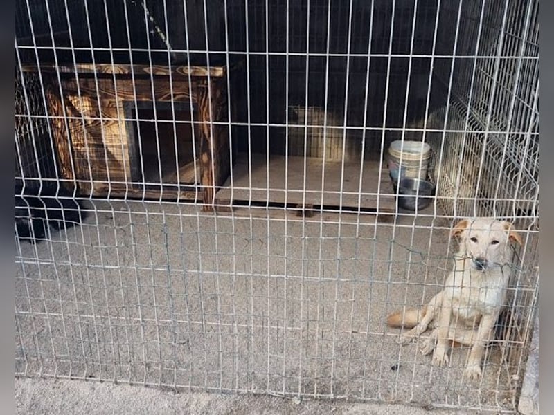 Bob wartet sehnsüchtig auf deine Anfrage