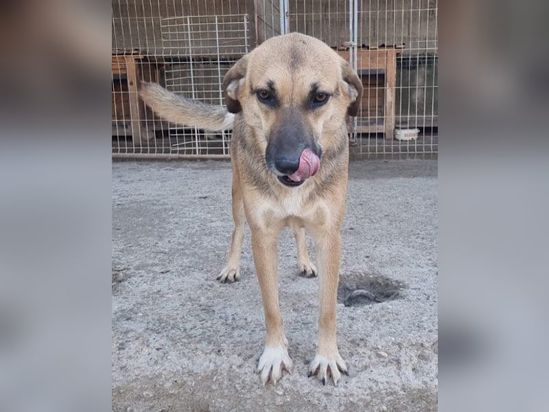 Bezaubernde Sersi wartet auf Dich!