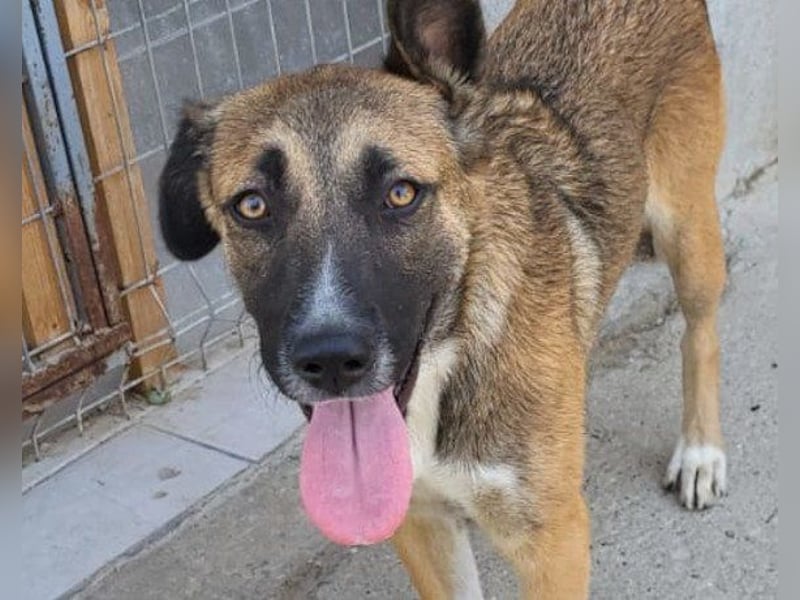 Liebste ♥ Lisa ♥ die pure Lebensfreude