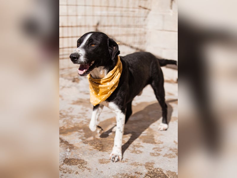 Rüdenbub ♥Vince♥ unser kleiner Prinz ♥