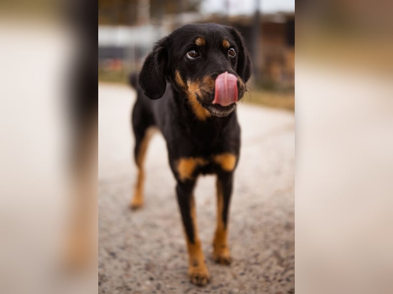MALENA❤️sanfte, gehorsame Seele auf der Suche nach Geborgenheit MALENA❤️sanfte, gehorsame Seele auf der Suche nach Geborgenheit