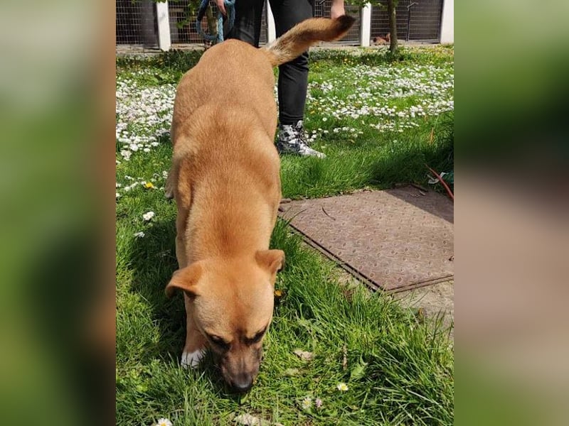 Teddy  wartet schon so lange!