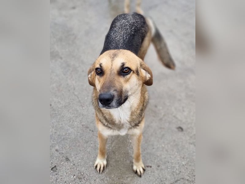 Bezaubernde Sersi wartet auf dich! Bezaubernde Sersi wartet auf dich!