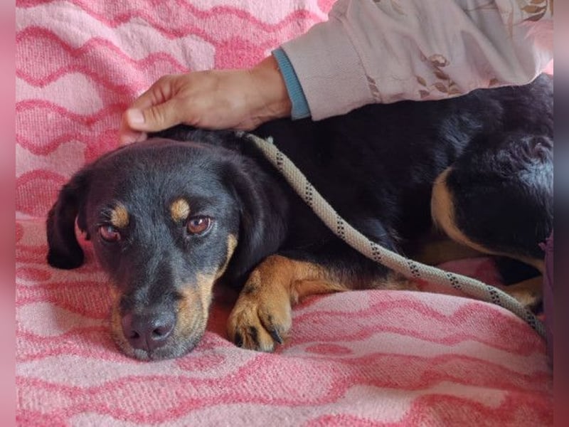 MALENA❤️sanfte, gehorsame Seele auf der Suche nach Geborgenheit MALENA❤️sanfte, gehorsame Seele auf der Suche nach Geborgenheit