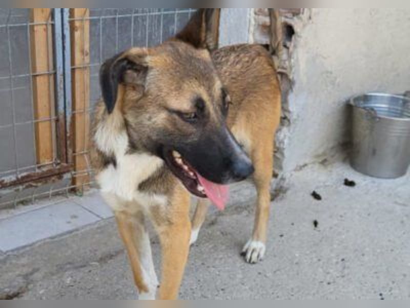 Liebste ♥ Lisa ♥ die pure Lebensfreude