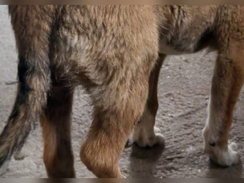 Liebste ♥ Lisa ♥ die pure Lebensfreude