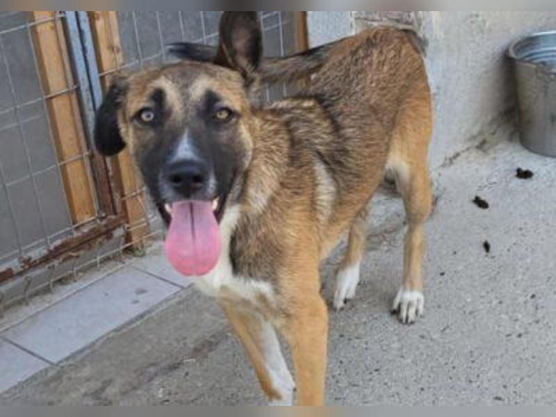 Liebste ♥ Lisa ♥ die pure Lebensfreude