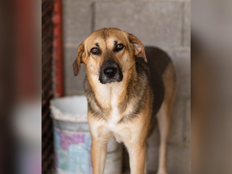 Bezaubernde Sersi wartet auf Dich!