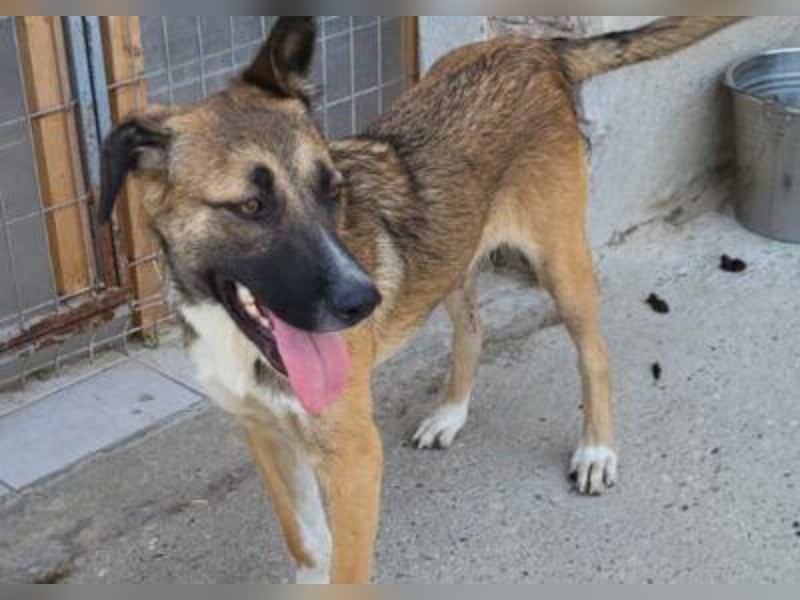 Liebste ♥ Lisa ♥ die pure Lebensfreude