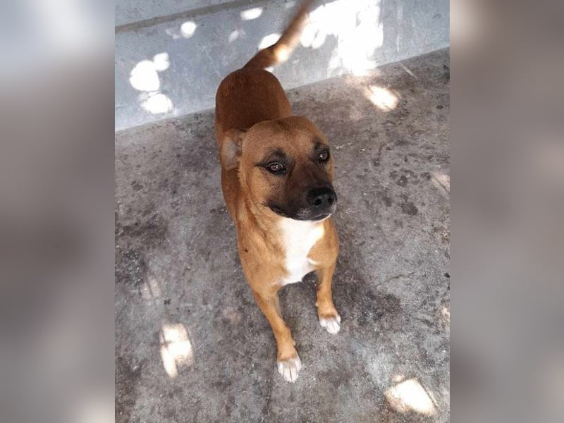 Teddy  wartet schon so lange! Teddy  wartet schon so lange!