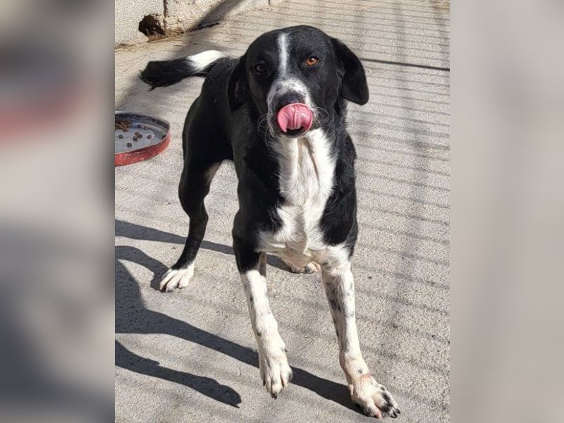 Rüdenbub ♥Vince♥ unser kleiner Prinz ♥