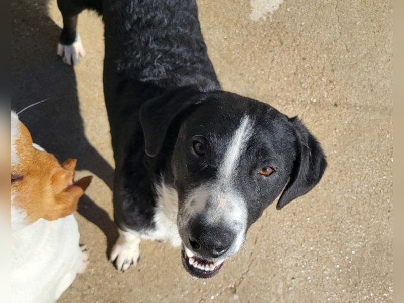 Rüdenbub ♥Vince♥ unser kleiner Prinz ♥