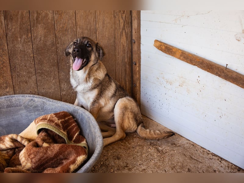 COCO❤️verspielt, sanft und voller Vertrauen: ein Herz für Groß und Klein!