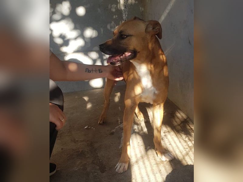 Teddy  wartet schon so lange! Teddy  wartet schon so lange!