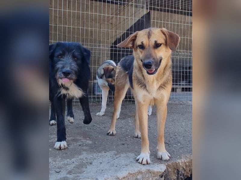 Bezaubernde Sersi wartet auf dich! Bezaubernde Sersi wartet auf dich!