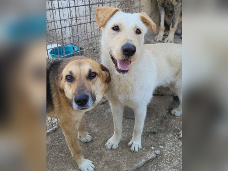 Bezaubernde Sersi wartet auf dich! Bezaubernde Sersi wartet auf dich!