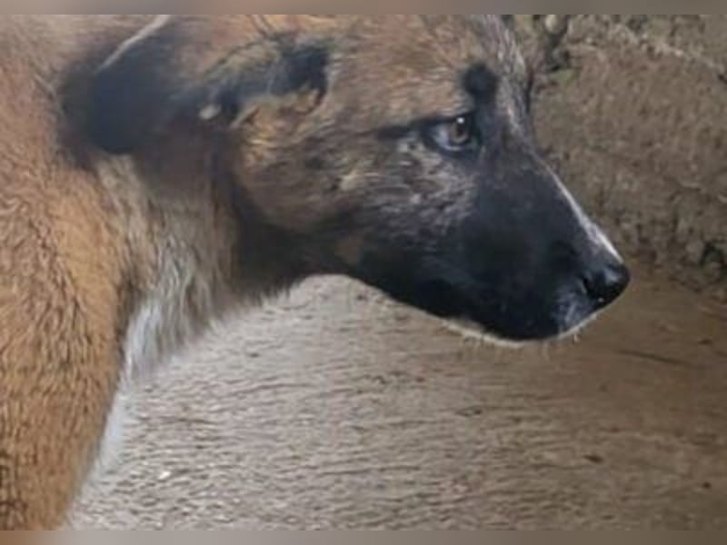 Liebste ♥ Lisa ♥ die pure Lebensfreude