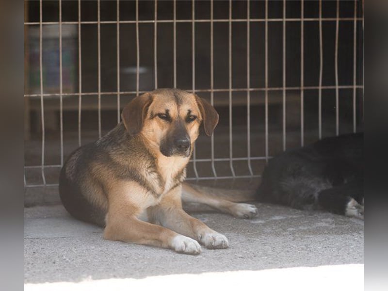Bezaubernde Sersi wartet auf dich! Bezaubernde Sersi wartet auf dich!