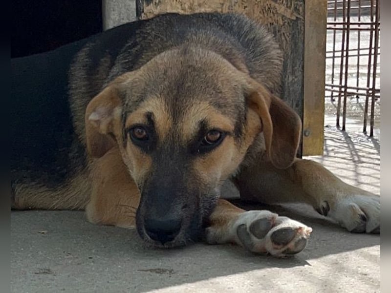 Bezaubernde Sersi wartet auf Dich!