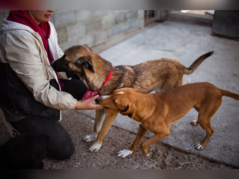 Liebste ♥ Lisa ♥ die pure Lebensfreude