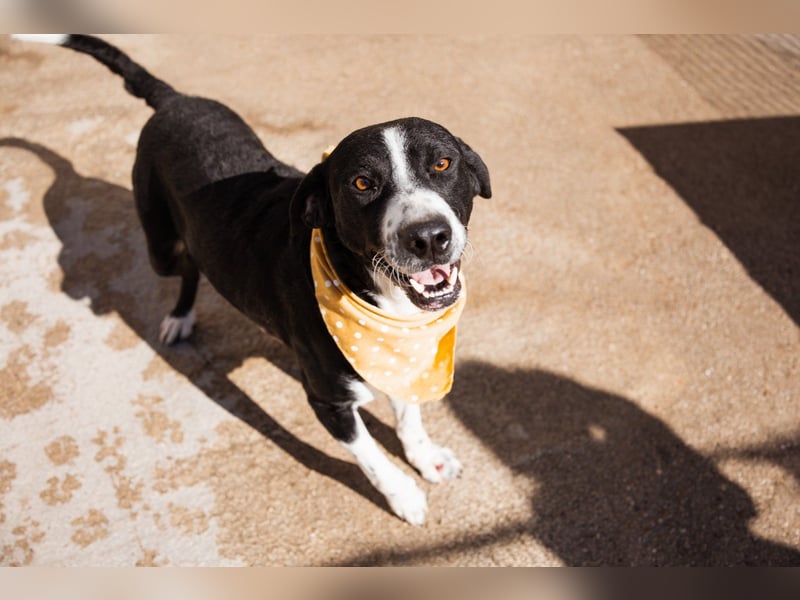 Rüdenbub ♥Vince♥ unser kleiner Prinz ♥