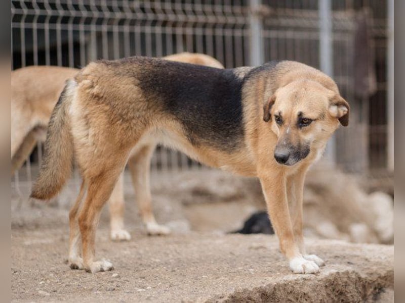 Bezaubernde Sersi wartet auf dich! Bezaubernde Sersi wartet auf dich!