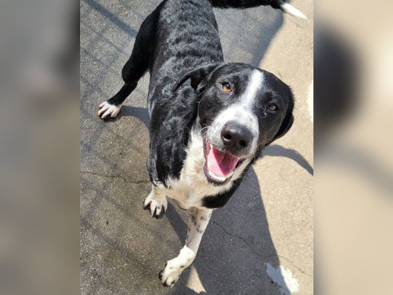 Rüdenbub ♥Vince♥ unser kleiner Prinz ♥