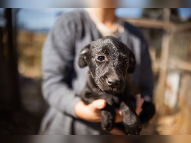 süße TABI❤️kuschelsüchtiges Sonnenscheinchen & pure Lebensfreude!