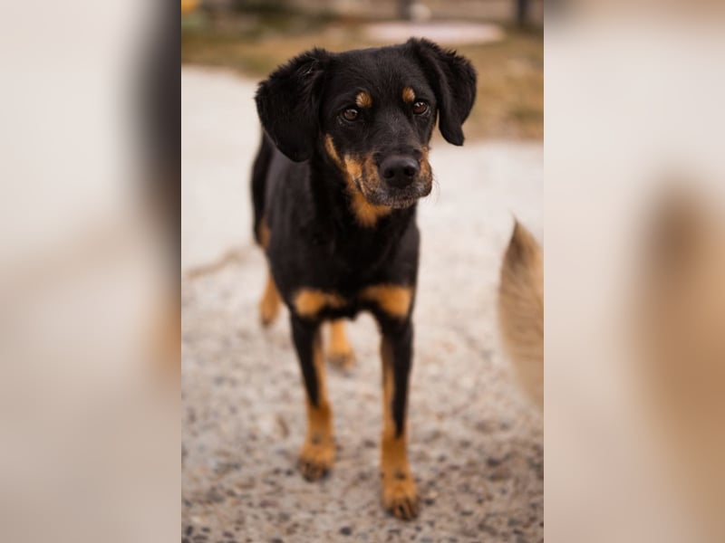 MALENA❤️sanfte, gehorsame Seele auf der Suche nach Geborgenheit MALENA❤️sanfte, gehorsame Seele auf der Suche nach Geborgenheit