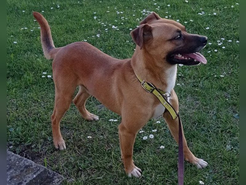 Teddy  wartet schon so lange! Teddy  wartet schon so lange!