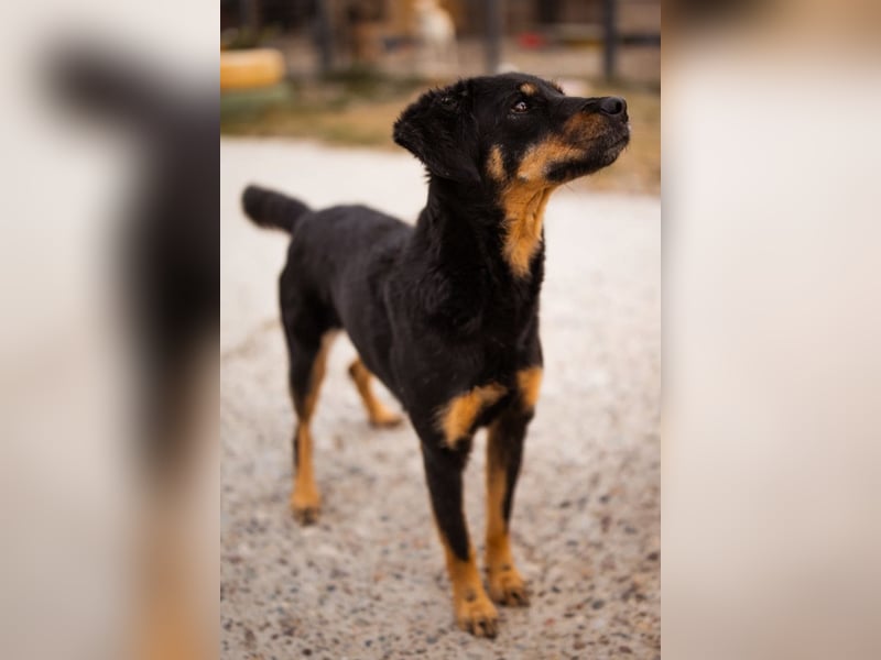 MALENA❤️sanfte, gehorsame Seele auf der Suche nach Geborgenheit MALENA❤️sanfte, gehorsame Seele auf der Suche nach Geborgenheit