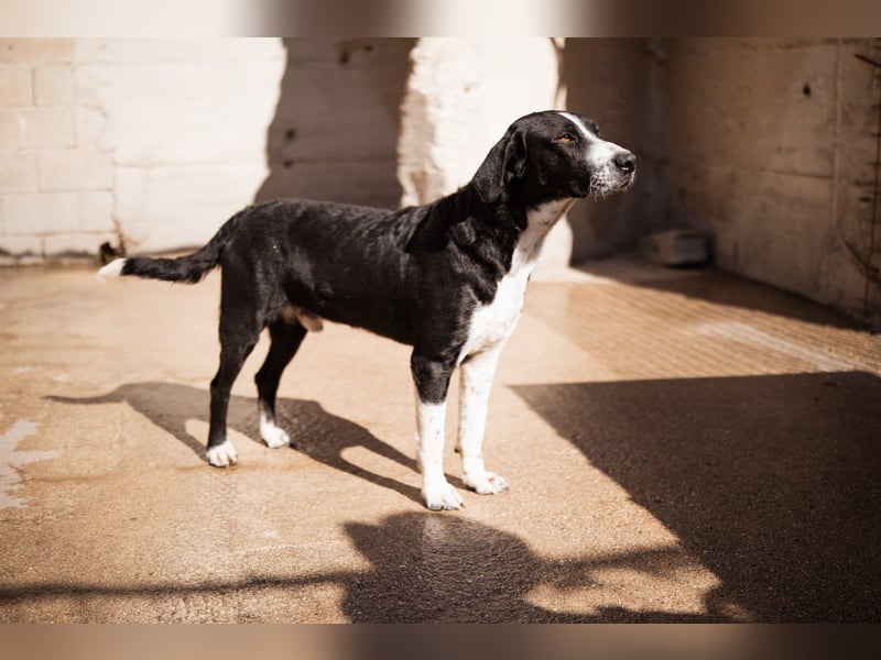 Rüdenbub ♥Vince♥ unser kleiner Prinz ♥