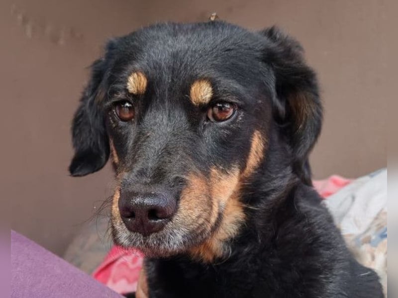 MALENA❤️sanfte, gehorsame Seele auf der Suche nach Geborgenheit MALENA❤️sanfte, gehorsame Seele auf der Suche nach Geborgenheit