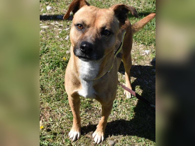 Teddy  wartet schon so lange!