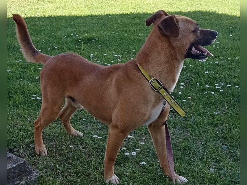 Teddy  wartet schon so lange!