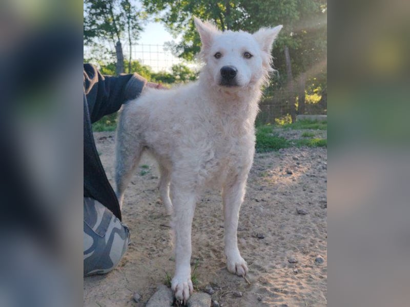 Sensible ♥ Jody ♥ sucht Liebe & Verständnis Sensible ♥ Jody ♥ sucht Liebe & Verständnis