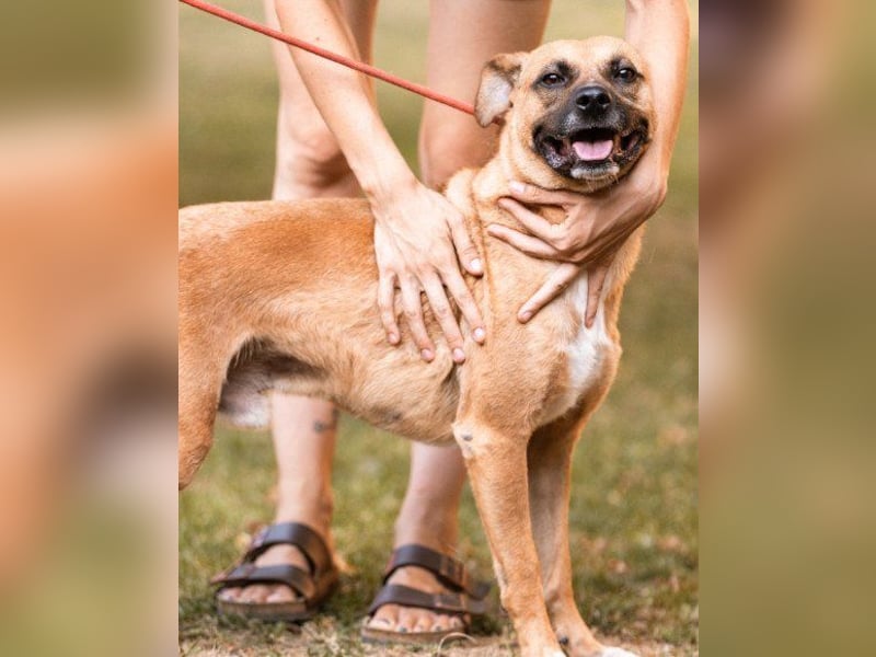 Teddy  wartet schon so lange! Teddy  wartet schon so lange!