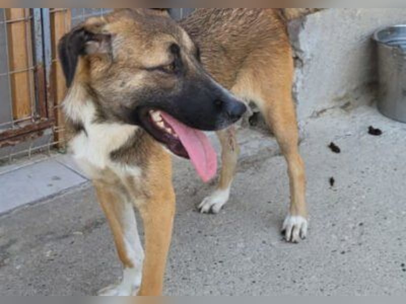 Liebste ♥ Lisa ♥ die pure Lebensfreude