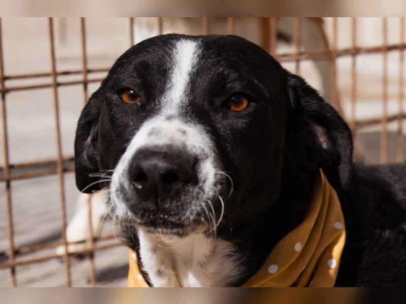 Rüdenbub ♥Vince♥ unser kleiner Prinz ♥