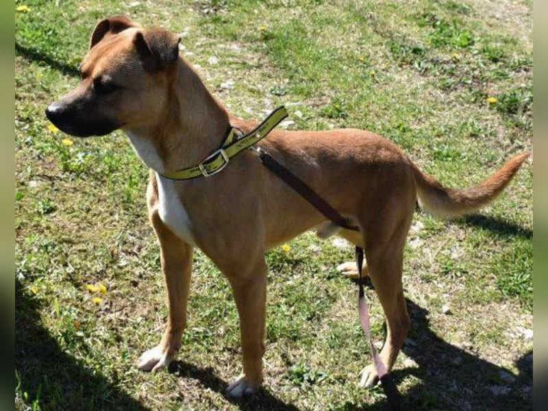 Teddy  wartet schon so lange! Teddy  wartet schon so lange!