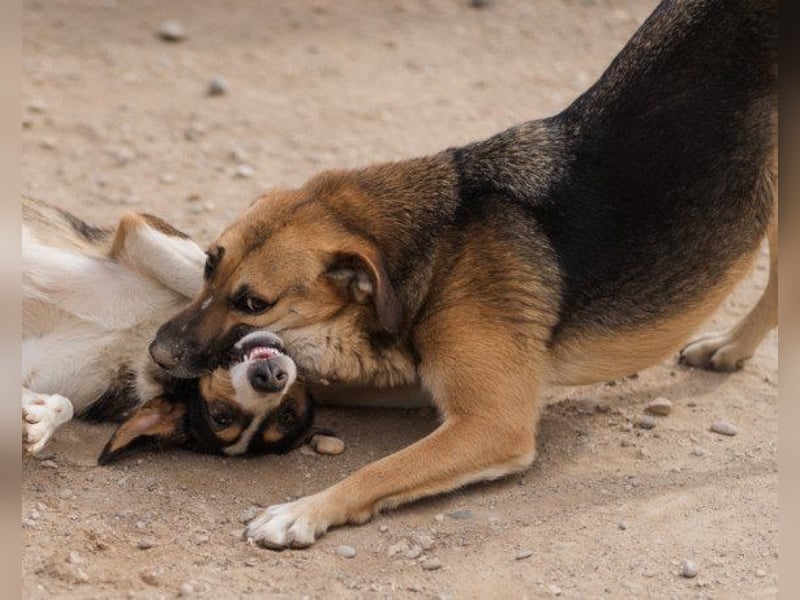 Bezaubernde Sersi wartet auf Dich!
