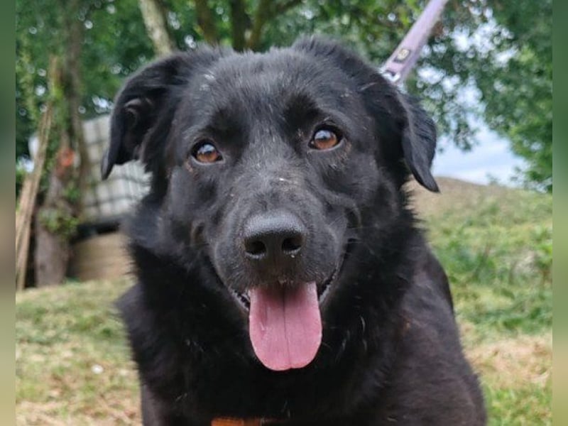 Lady ♥ Gara ♥ freundlich, offen und verschmust