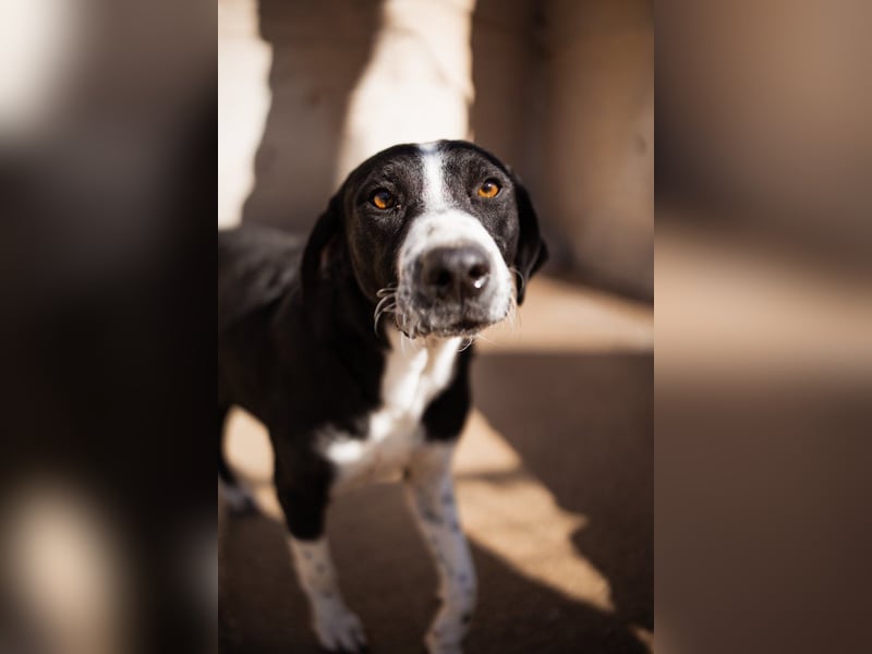 Rüdenbub ♥Vince♥ unser kleiner Prinz ♥