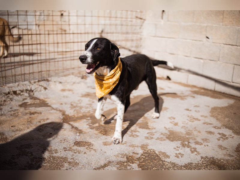 Rüdenbub ♥Vince♥ unser kleiner Prinz ♥